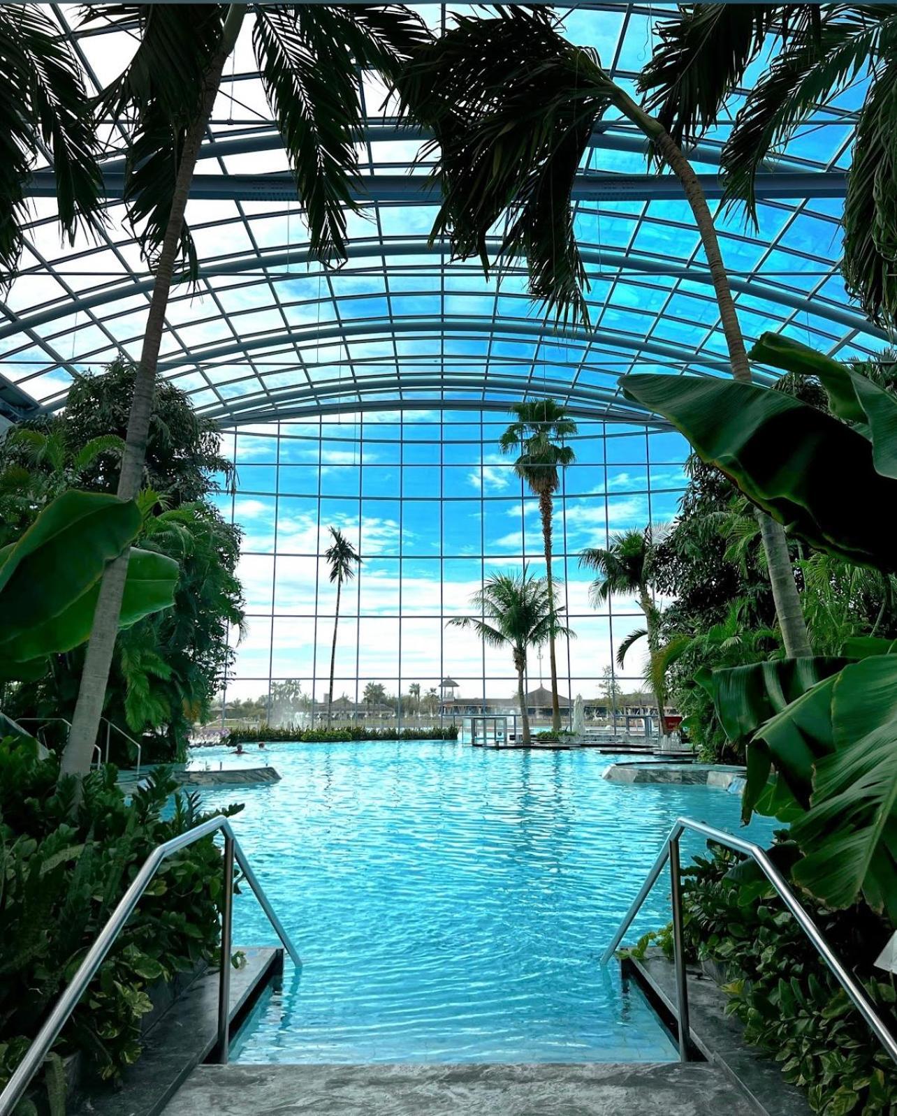 Mona Apartment Taxi#Airport #Parking#Bucharest#Therme أوتوبين المظهر الخارجي الصورة